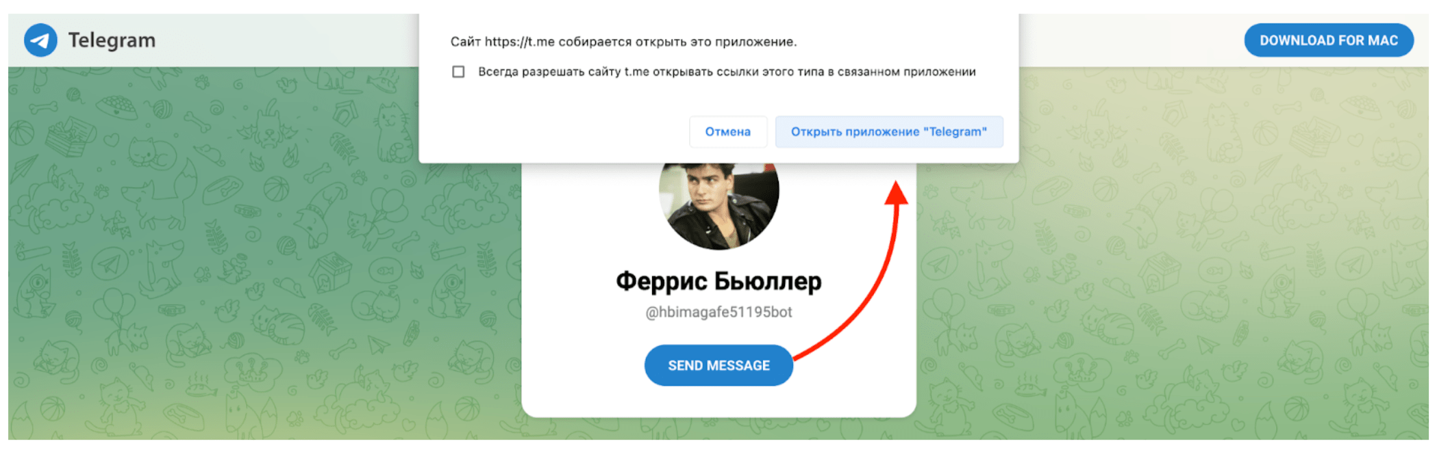 Что может дать база людей по фамилии. Пробиваем с помощью Глаза Бога 2